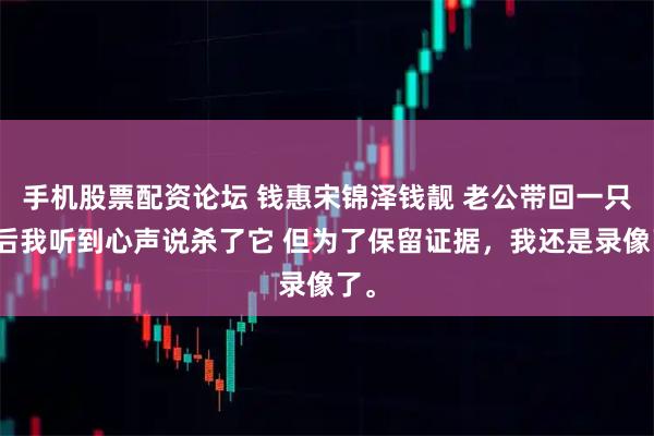 手机股票配资论坛 钱惠宋锦泽钱靓 老公带回一只鸡后我听到心声说杀了它 但为了保留证据，我还是录像了。